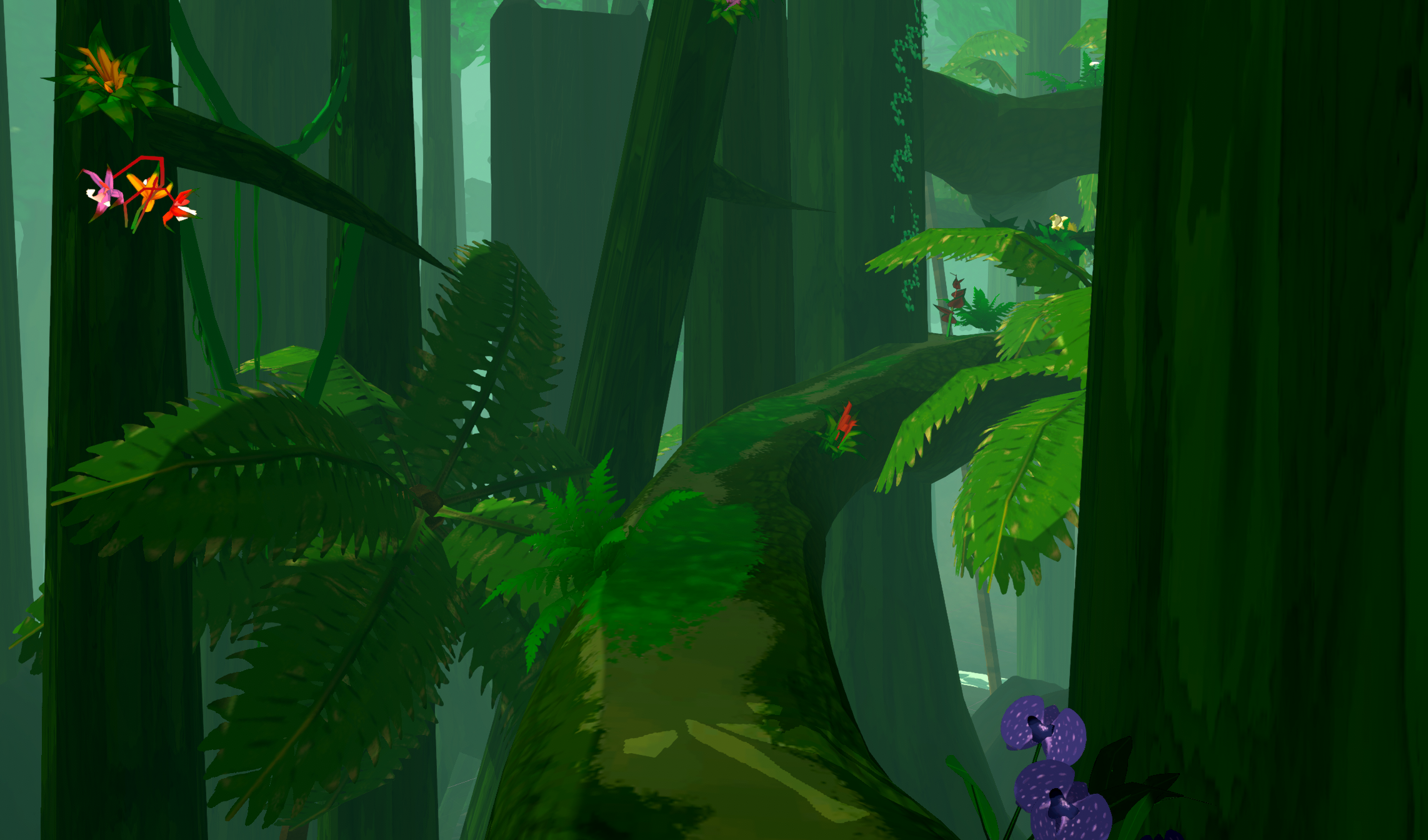 Jungle 5
