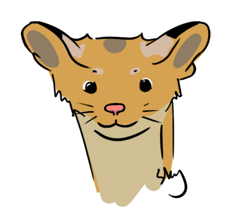 Fox & Weasel